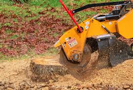 Best Seasonal Cleanup (Spring/Fall)  in Bret Harte, CA